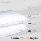 Down-Alternative Snuggy Pillows (Pack of 2)