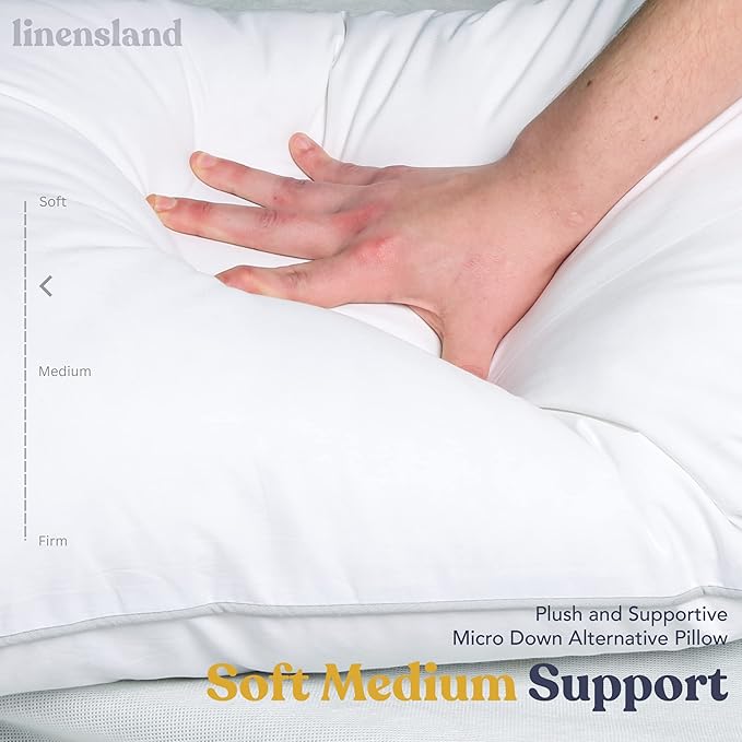 Down-Alternative Snuggy Pillows (Pack of 2)