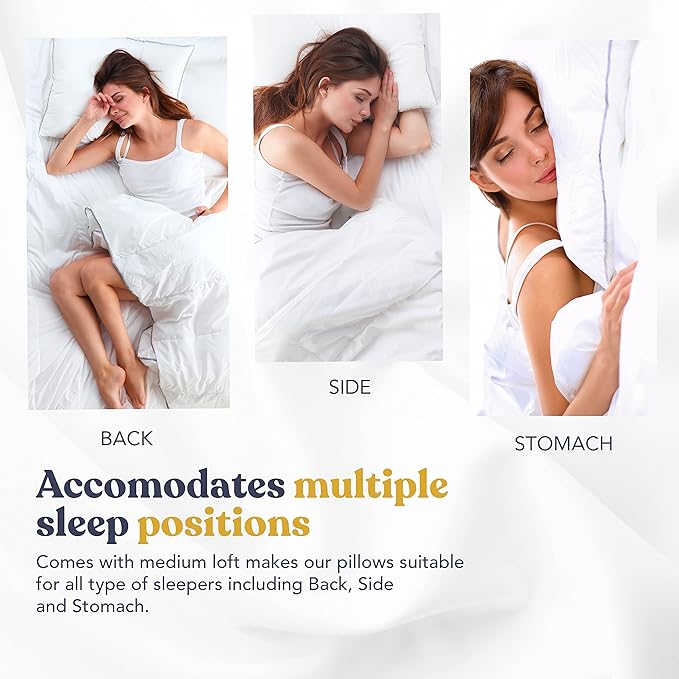 Down-Alternative Snuggy Pillows (Pack of 2)